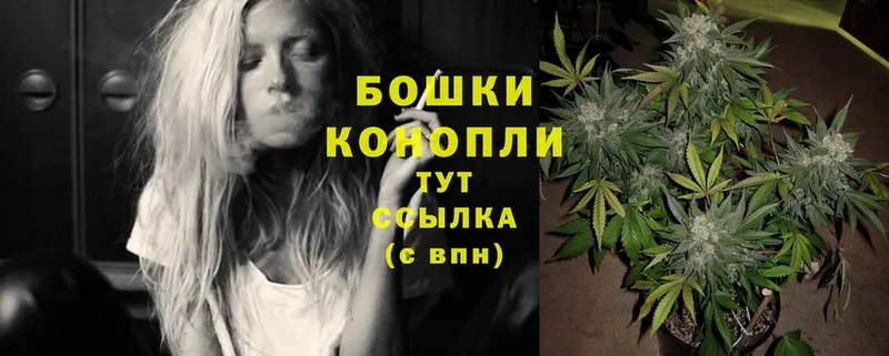 где продают наркотики  Высоковск  Канабис Amnesia 